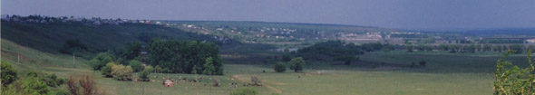 Панорама. Село Семилуки